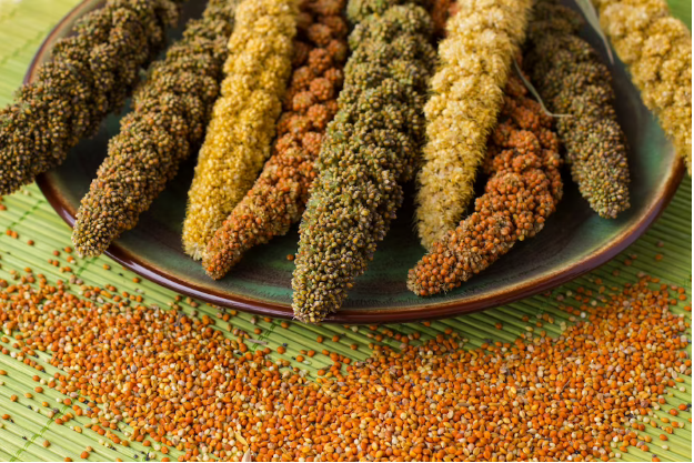 Importance of millets in kids