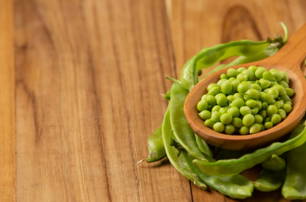 How pea protein is beneficial in kid’s growth and development?